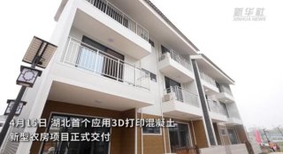 湖北首个应用3D打印混凝土新型农房项目正式交付